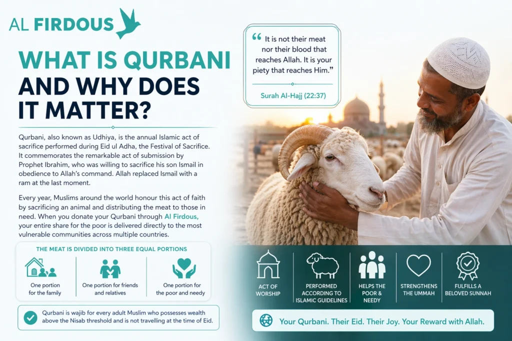 5 Ways Your Qurbani Donation Changes Lives | Al Firdous UK
