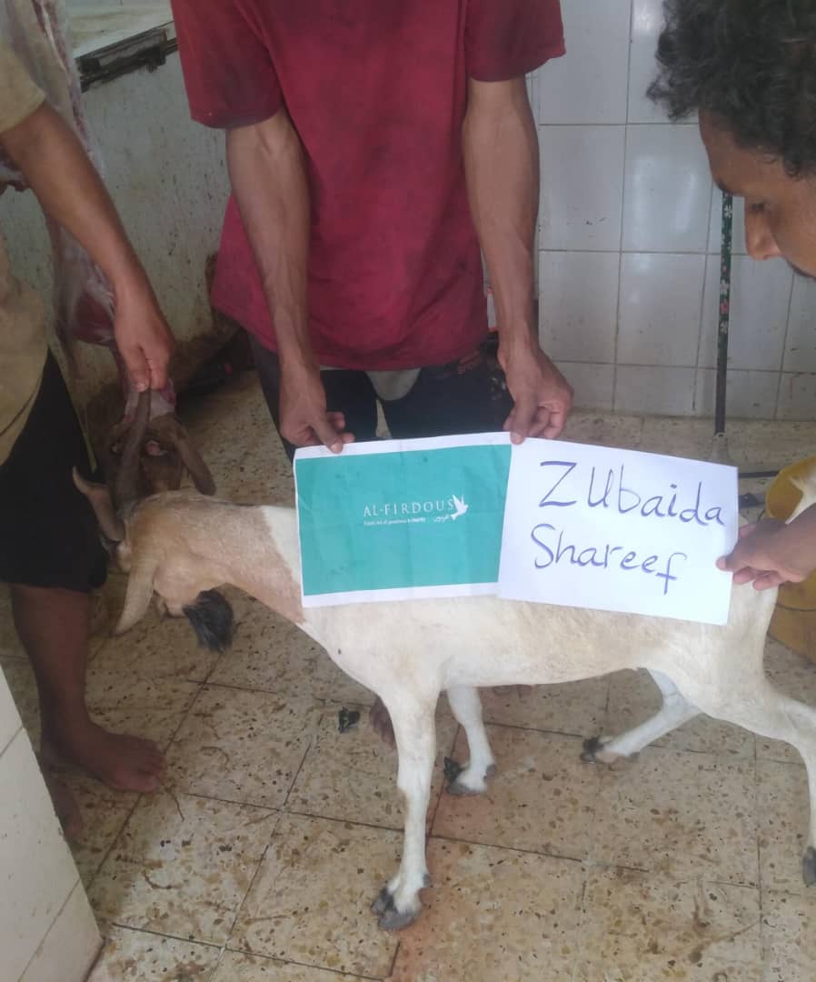 qurbani